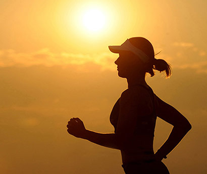 ylg060net永利娱高文化简述